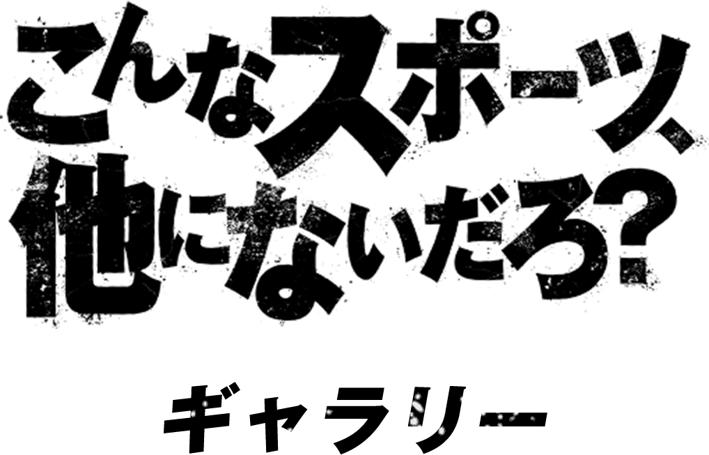 こんなスポーツ、他にないだろ？ギャラリー