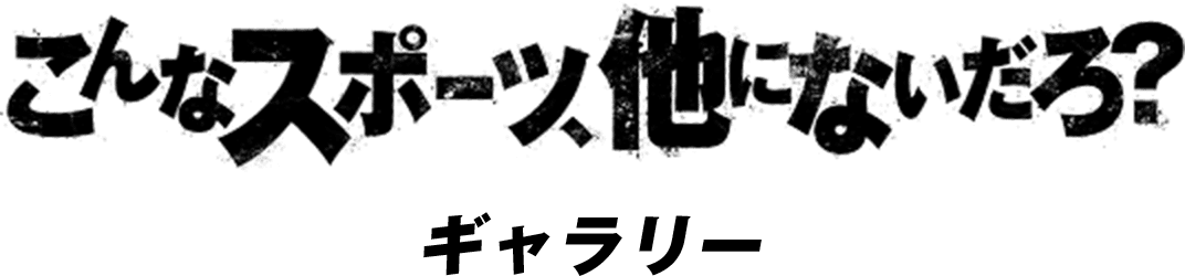 こんなスポーツ、他にないだろ？ギャラリー